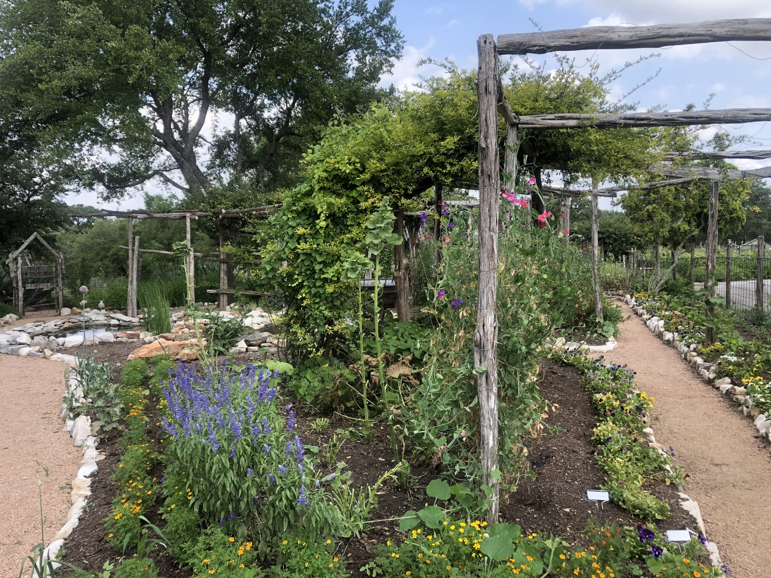 Kitchen Garden at Sage Hill Inn & Spa | Kyle, TX | May 17, 2019