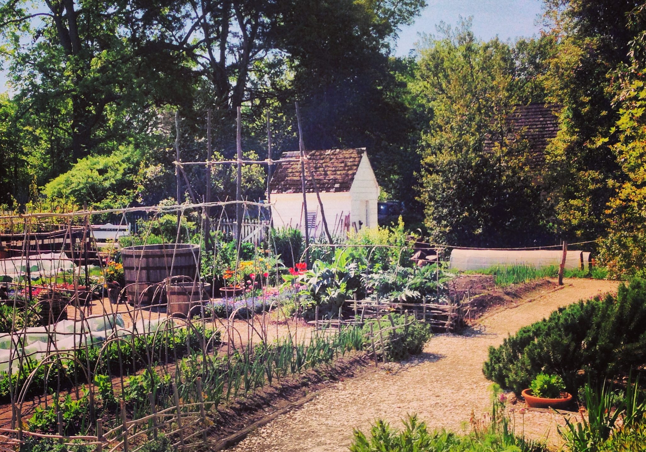 Garden Inspiration | Colonial Williamsburg | April 27, 2013